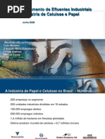Celulose e Papel