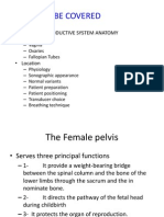 Topics To Be Covered: - Female Reproductive System Anatomy