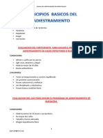 Conceptos Del Adiestramiento Canino