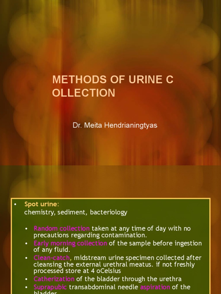 Methods of Urine Collection | PDF | Urine | Urinary Bladder