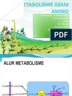 Metabolisme Asam Amino