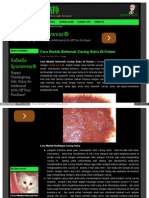 Caraternak Info Cara Mudah Beternak Cacing Sutra Di Kolam PDF