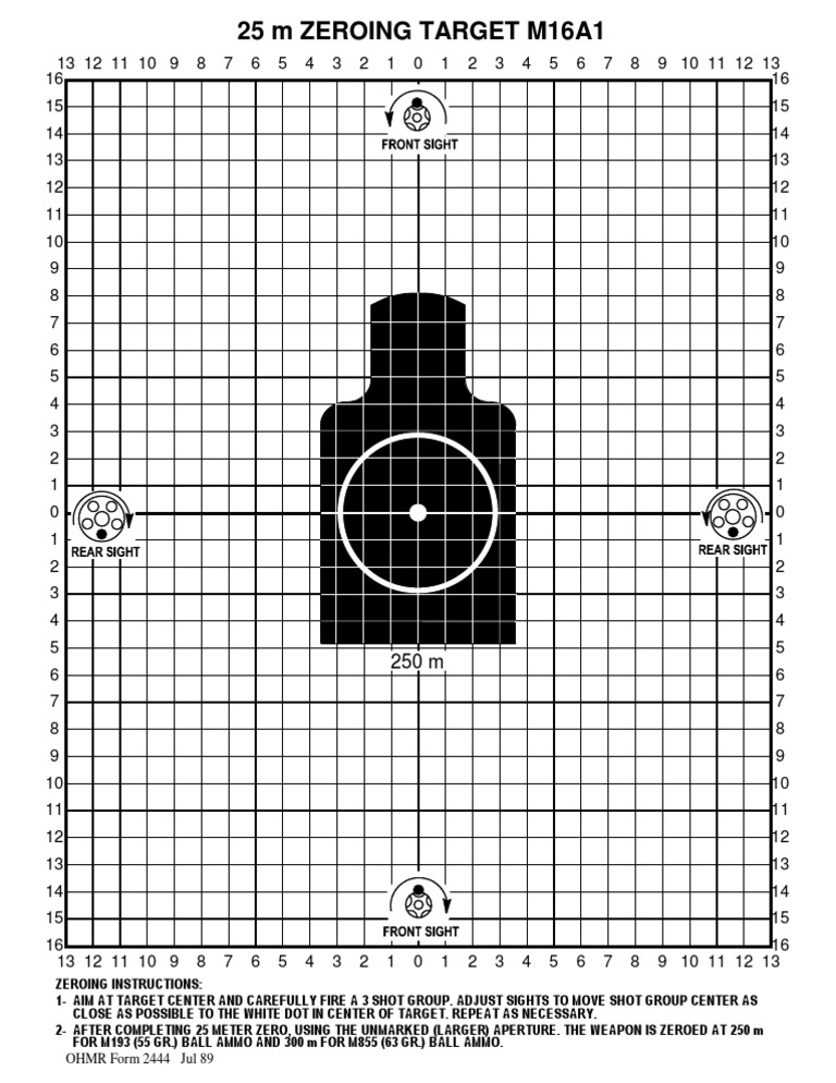 M16A1 Target Personal Weapons Securities