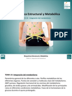 Tema 19. Integracion Del Metabolismo