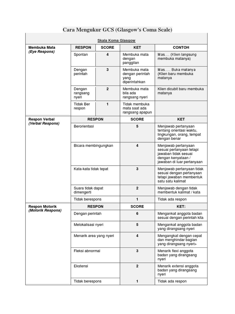 Panduan Mengukur GCS pada Dewasa | PDF