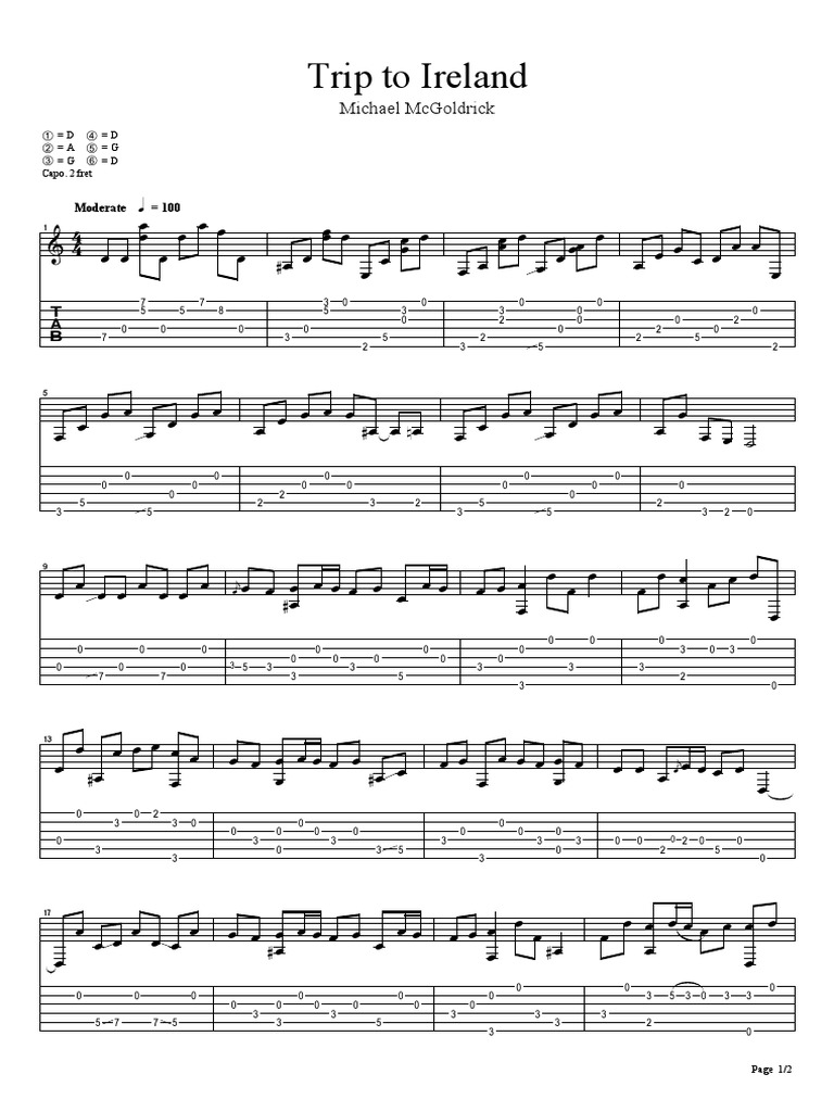 Trip to Ireland Michael McGoldrick (Celtic Celtique Tablature Guitar