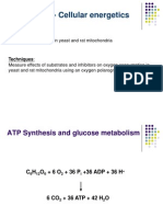 Lab 6 - Cellular Energetics: Objective