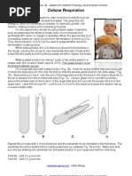 Lab report 40 yeast fermentation temperature