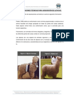 Especificaciones técnicas para adquisición de alpacas