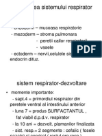 Dezvoltarea Sistemului Respirator