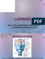 Resumen de laringe