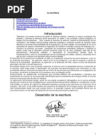 Desarrollo de La Escritura