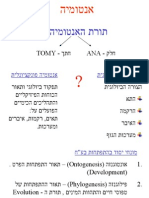 ‫אנטומיה‬