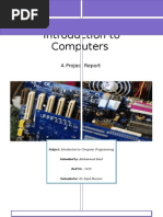 Introduction To Computer Programming Project Report