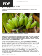 Saving the Banana _ Science News for Students