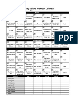 insanity workout deluxe calendar simple pdf