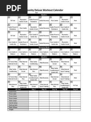 insanity workout deluxe calendar simple pdf