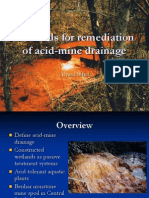 Acid Mine Drainage