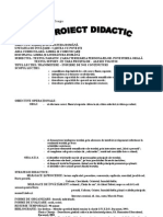 100 Proiect Didactic