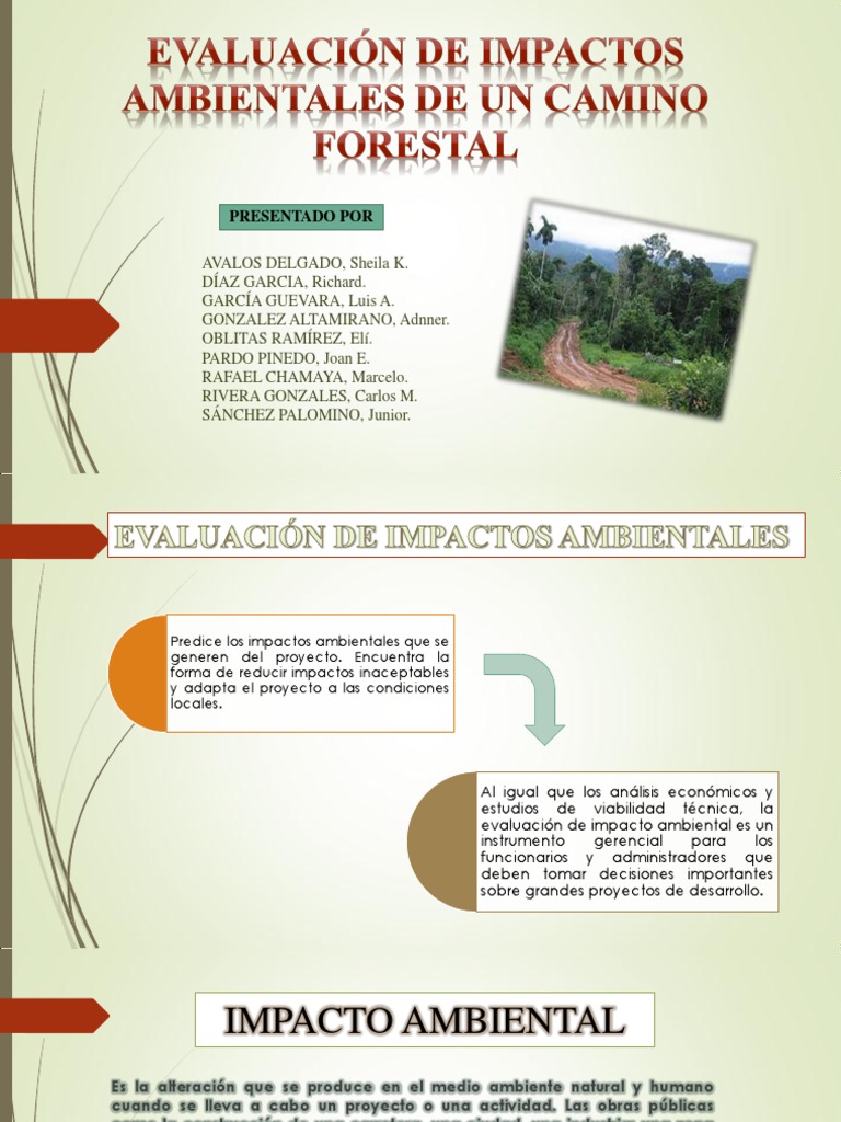 Evaluación de Impacto Ambiental en Proyectos | PDF | Evaluación de ...