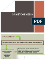 Gameto Genesis