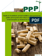 Studiu de Fezabilitate - Biomasa - Leova - Corectat - 10 2013