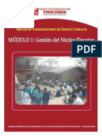 7 Modulo 1 Gestión del Nucleo Ejecutor.pdf