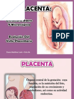 Placenta