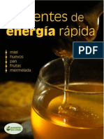 Fuentes de Energia Rapida PDF