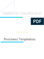 Posiciones Terapeuticas