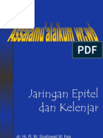 Jaringan Epitel & Kelenjar