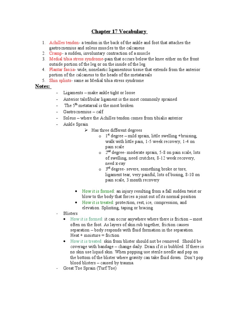 Chapter 17 Vocabulary Pdf Ankle Foot