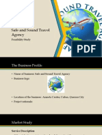 Safe and Sound Travel Agency Feasibility Study