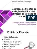 Elaboração de Projeto de Ic para Agência de Fomento