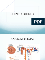 Duplex Kidney Prin