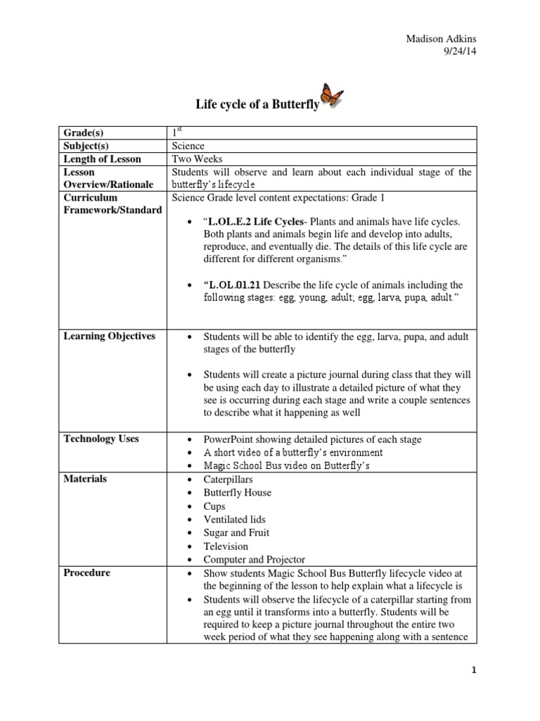life cycle of a butterfly with rubric Butterfly Cognition