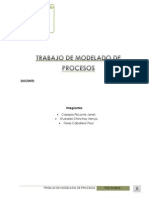 p&d Anidna Proyecto Mod Proces.