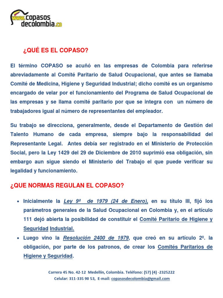 Que Es El Copaso | PDF