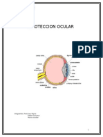 Proteccion Ocular