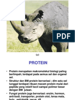 Protein Rev