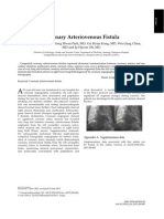 Coronary Arteriovenous Fistula: Image