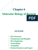 Molecular Biology of Bacteria