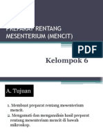 Preparat Rentang Mesenterium (Mencit)