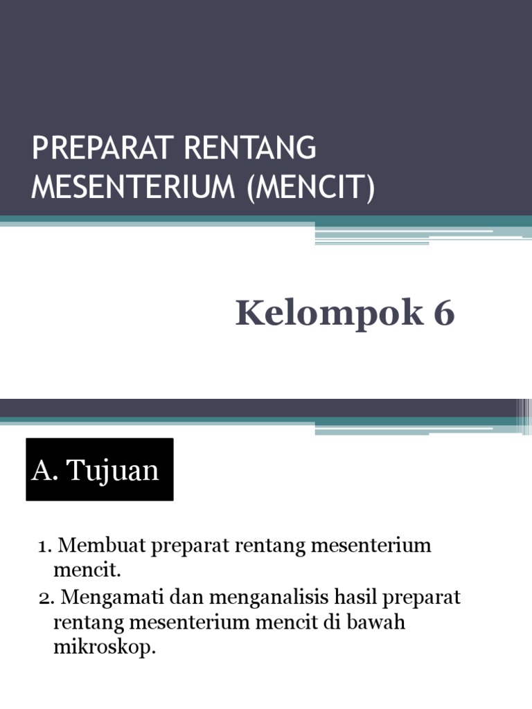 Preparat Rentang Mesenterium (Mencit) | PDF