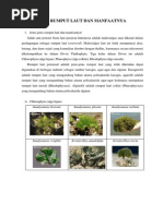 Download Jenis Rumput Laut Dan Manfaatnya by Hildayani ILdah SN250196055 doc pdf