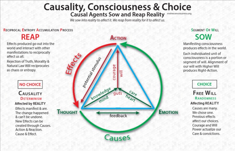 Consciousness and Causality | PDF | Self-Improvement | Science ...