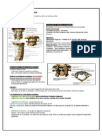 Arthrologie du dos.pdf