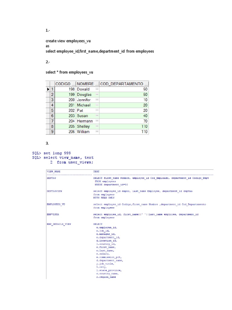 SQL Views and Queries Guide | PDF