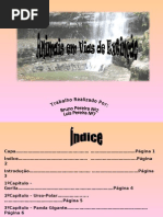 Capa……………………………………………… ……………………………Página 1 Índice…………………………………………… …………………………….Página 2 Introdução………………………………………