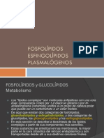 4-Fosfolipidos